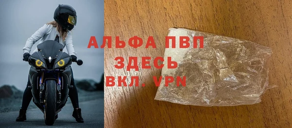 spice Аркадак