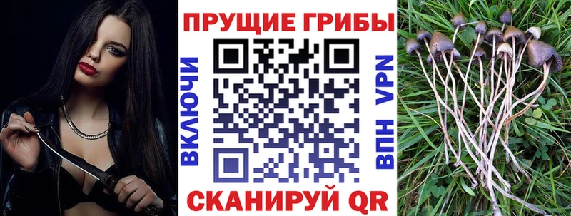 что такое наркотик  Радужный  Псилоцибиновые грибы MAGIC MUSHROOMS 